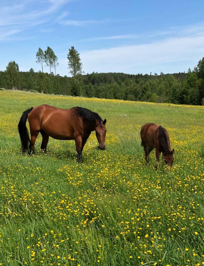 Torpgarden Oennerudsvaegen 56 Διαμέρισμα Torsby Εξωτερικό φωτογραφία