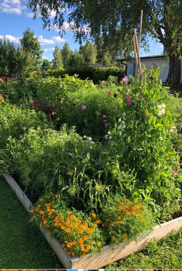 Torpgarden Oennerudsvaegen 56 Διαμέρισμα Torsby Εξωτερικό φωτογραφία