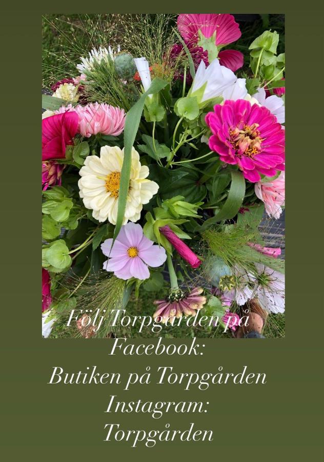 Torpgarden Oennerudsvaegen 56 Διαμέρισμα Torsby Εξωτερικό φωτογραφία