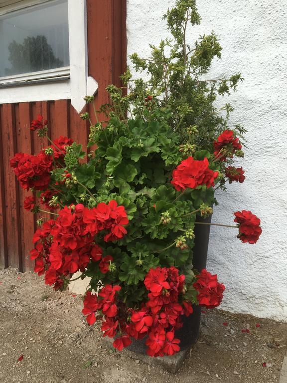 Torpgarden Oennerudsvaegen 56 Διαμέρισμα Torsby Εξωτερικό φωτογραφία