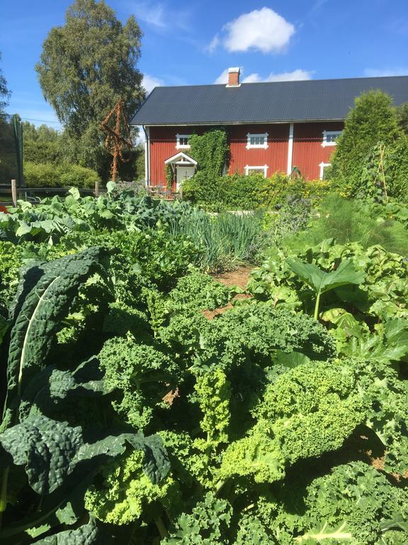 Torpgarden Oennerudsvaegen 56 Διαμέρισμα Torsby Εξωτερικό φωτογραφία
